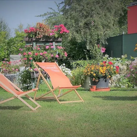 Haus Marianne 招待所 Franzhausen