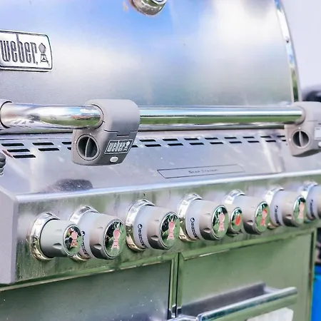 Haus Marianne 招待所 Franzhausen